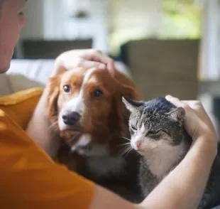 O pet, dependendo da espécie, pode ter uma percepção diferente dos humanos