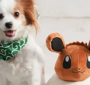 Alguns nomes para cachorro inspirados em Pokémon podem ser ótimos para o seu aumigo