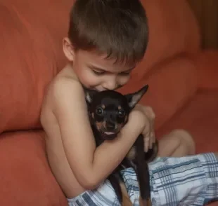 Veja quais são as raças de cachorro que não se dão bem os pequenos 