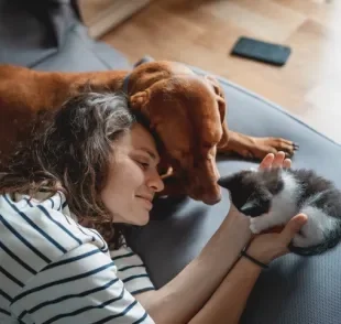 Manter uma convivência harmoniosa entre cachorro e gato juntos é super possível