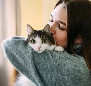 A teoria de que os gatos esquecem os donos depois de 3 dias não é muito certa