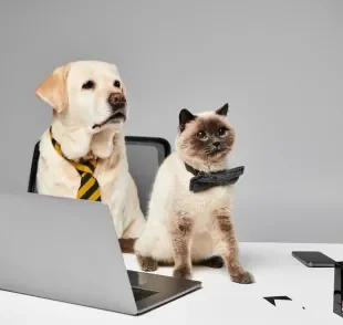 O pet day traz mais diversão e produtividade para o ambiente de trabalho. Saiba como!