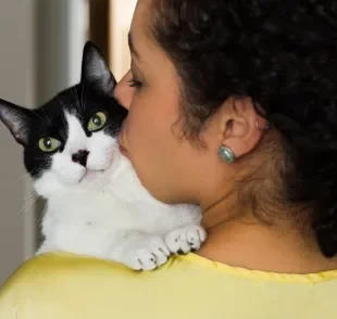 O amor de gato está nos detalhes