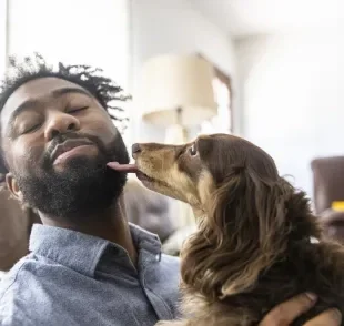 Os lambeijos é um hábito muito comum entre os cães e pode significar algumas coisas