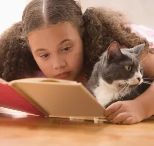 Os livros com temática felina estão fazendo o maior sucesso 