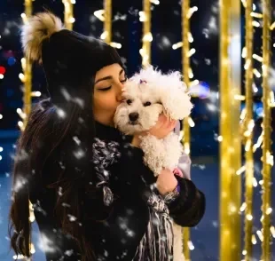 O cachorro com medo de fogos se sente estressado e ansioso 