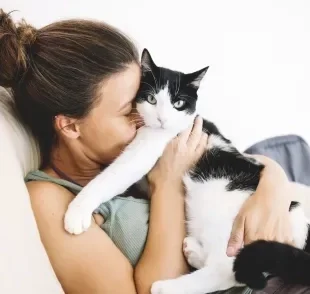 Adote um gato e ganhe um companheiro para o resto da vida