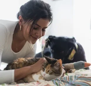 Será que ter um cachorro ou gato é sinônimo de mais impostos? Entenda