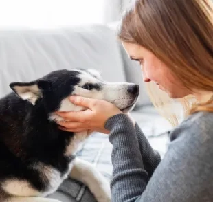 Troca de olhares entre cachorro e dono indica conexão profunda a nível cerebral. Entenda!