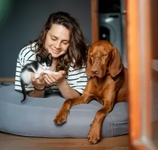 O ato de adotar cachorro ou gato faz muito bem para a saúde