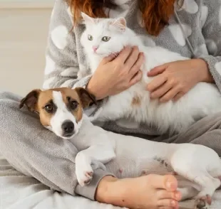 Criar dois pets juntos precisa de alguns cuidados