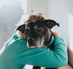 O cachorro muito apegado tem altas chances de desenvolver ansiedade de separação