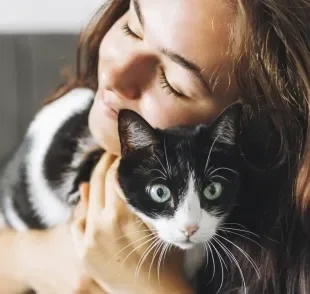 A companhia de gatos ajuda a moldar aspectos da nossa personalidade