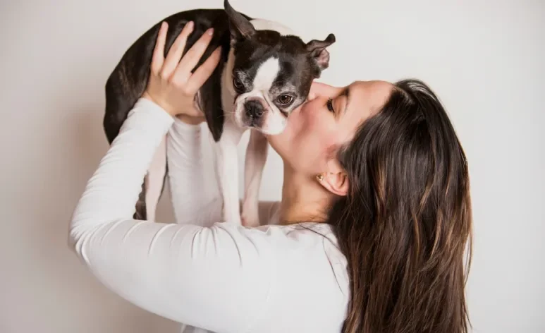 Algumas raças de cachorro podem ser perfeitas para quem nunca teve um doguinho antes