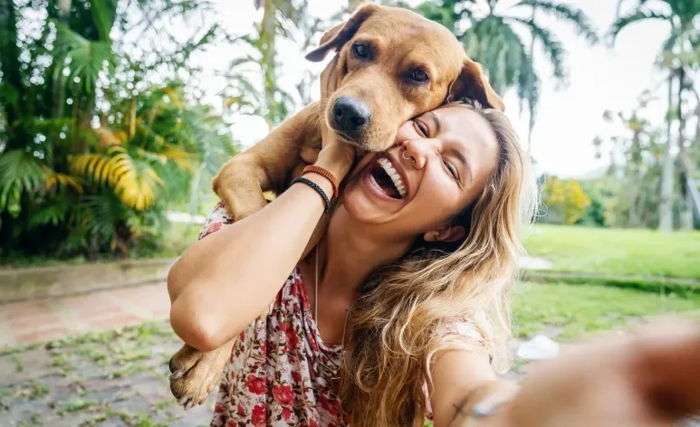 O ato de adotar um cachorro adulto pode salvar a vida de um pet