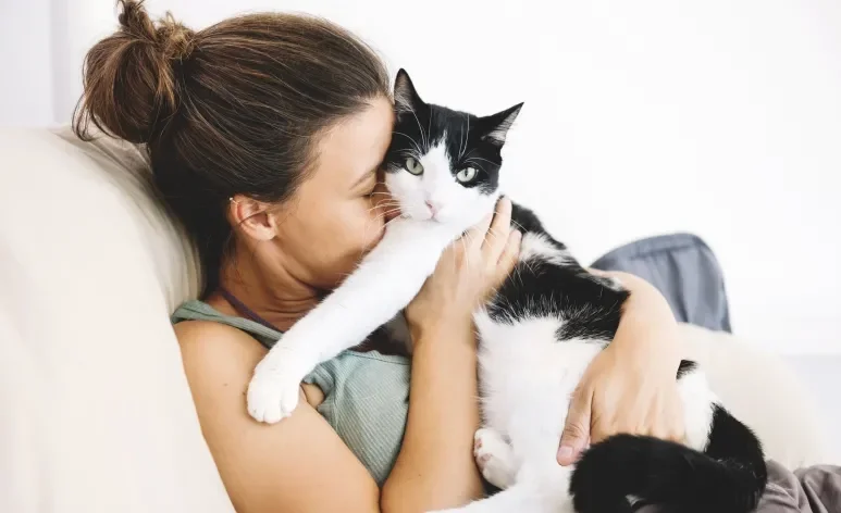 Adote um gato e ganhe um companheiro para o resto da vida