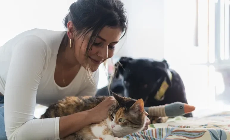 Será que ter um cachorro ou gato é sinônimo de mais impostos? Entenda