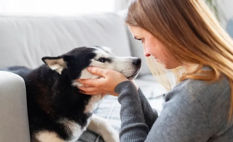 Troca de olhares entre cachorro e dono indica conexão profunda a nível cerebral. Entenda!