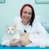 Foto da Vansessa Zimbre - Veterinária especializada em Medicina Felina