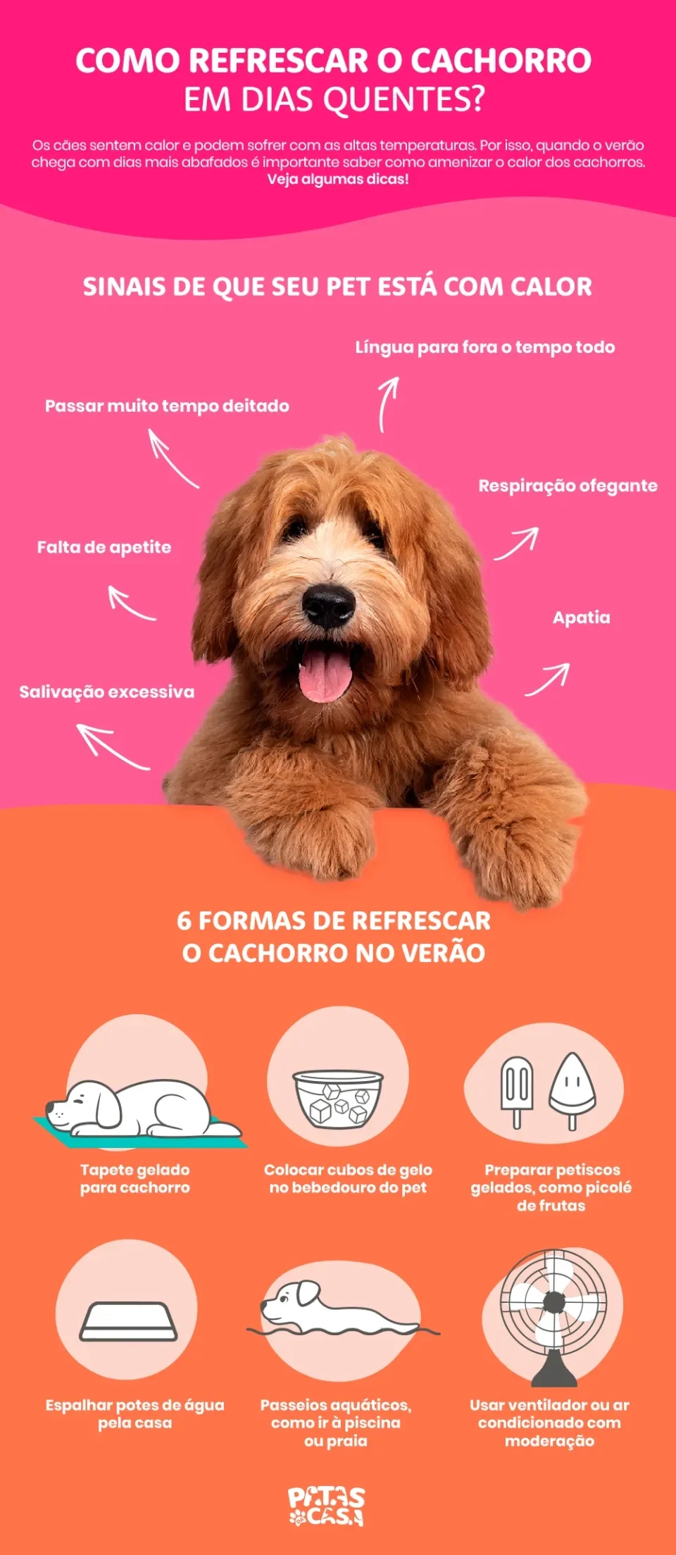 infográfico sobre cachorro com calor