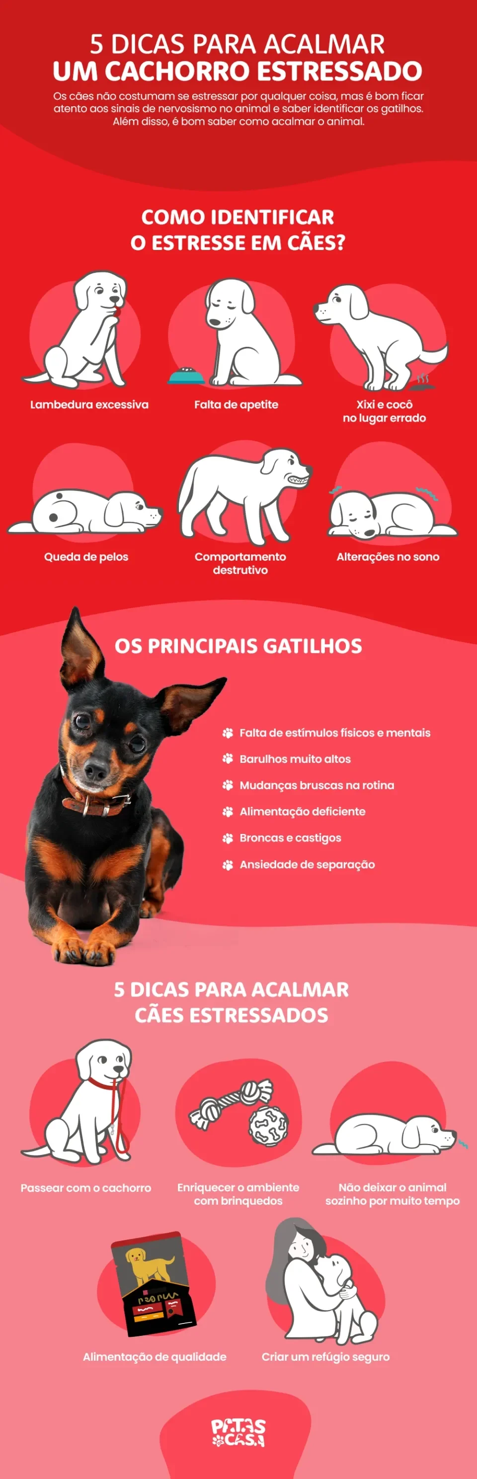 Bloco informativo mostrando como reconhecer os sinais e acalmar um cachorro estressado