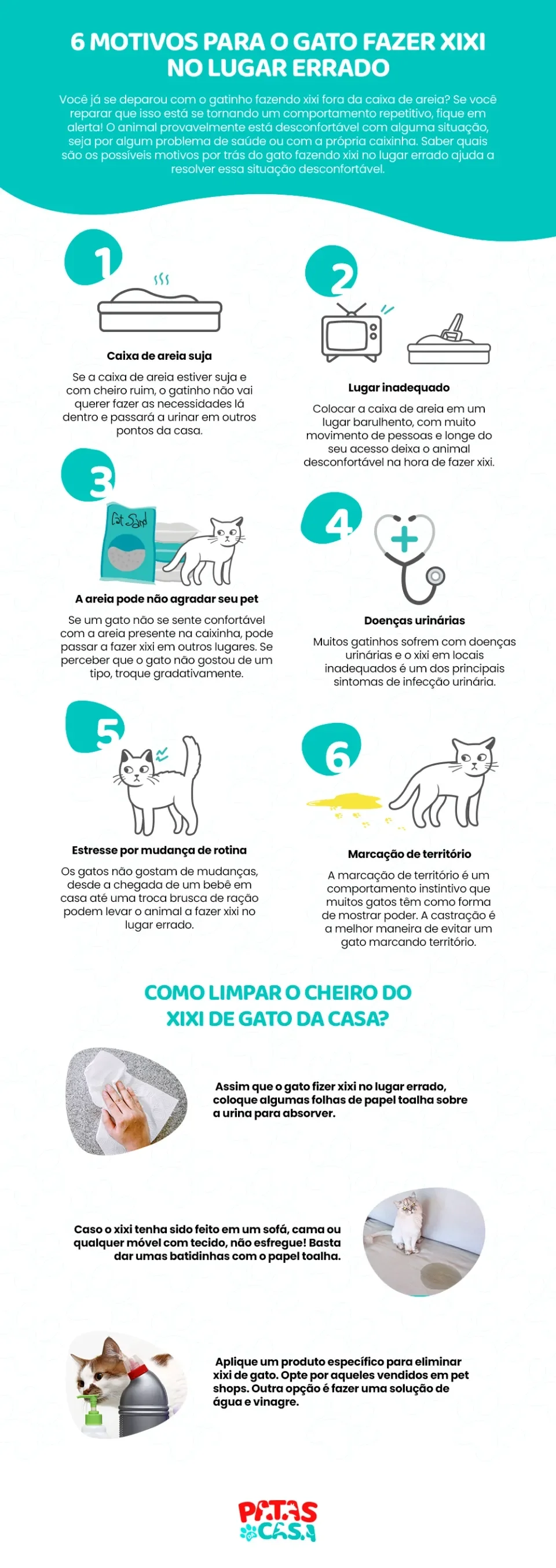 infográfico sobre gato fazendo xixi no lugar errado