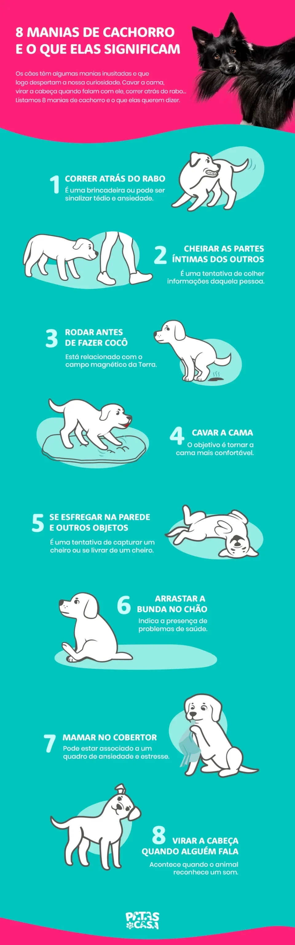 infográfico sobre manias de cachorro