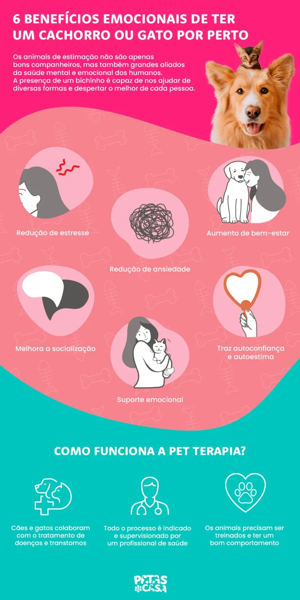 infográfico sobre pet terapia